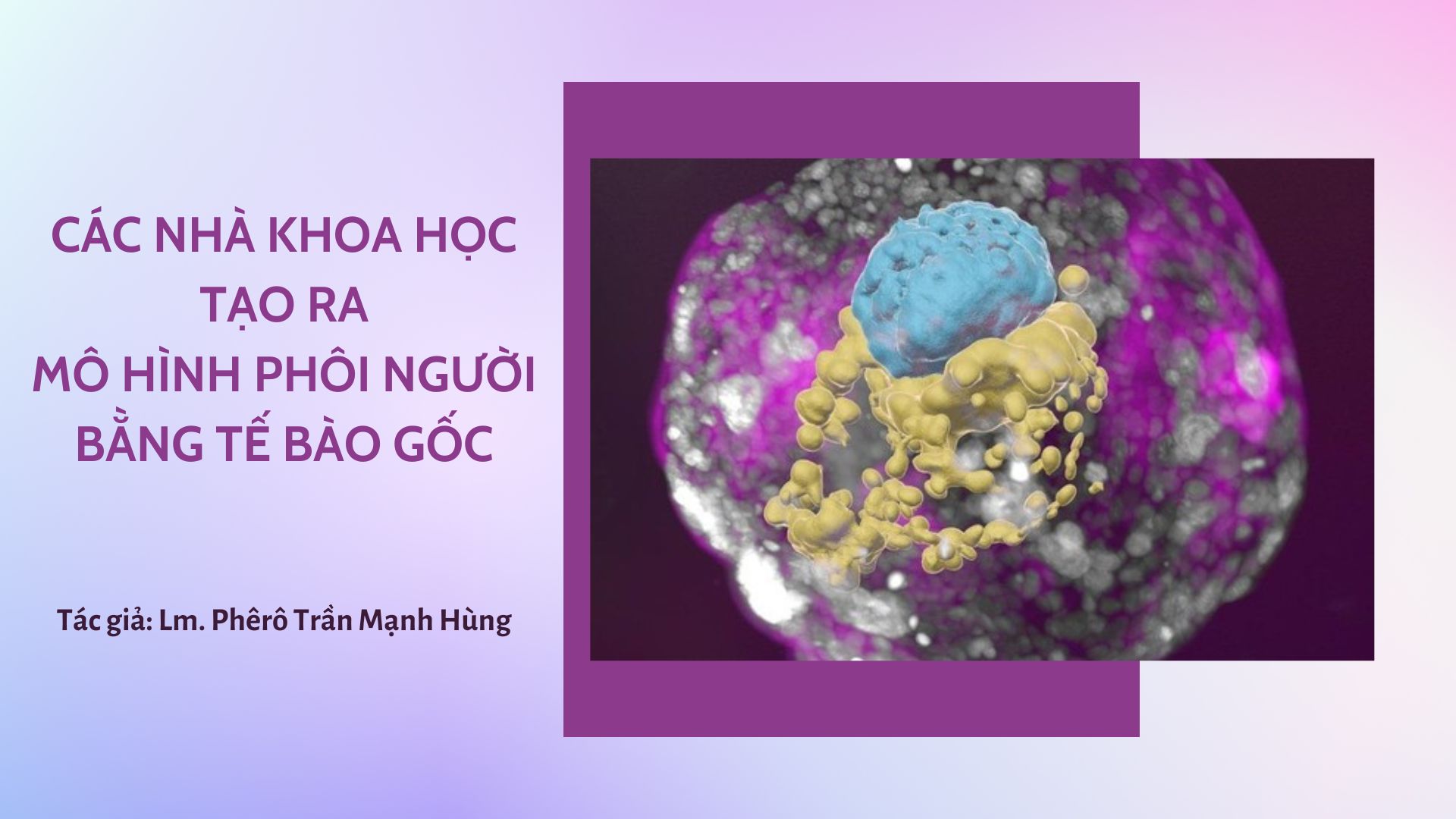 C&aacute;c nh&agrave; khoa học tạo ra m&ocirc; h&igrave;nh ph&ocirc;i người bằng tế b&agrave;o gốc